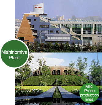 Nishinomiya Plant MIKI Prune production lines