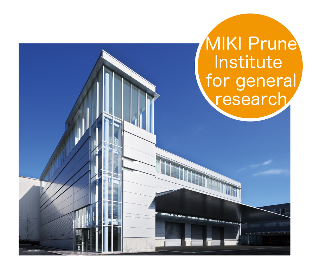 MIKI Prune Institute for general research