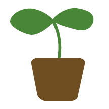 ミキプルーン農園のこと 公式 ミキプルーン