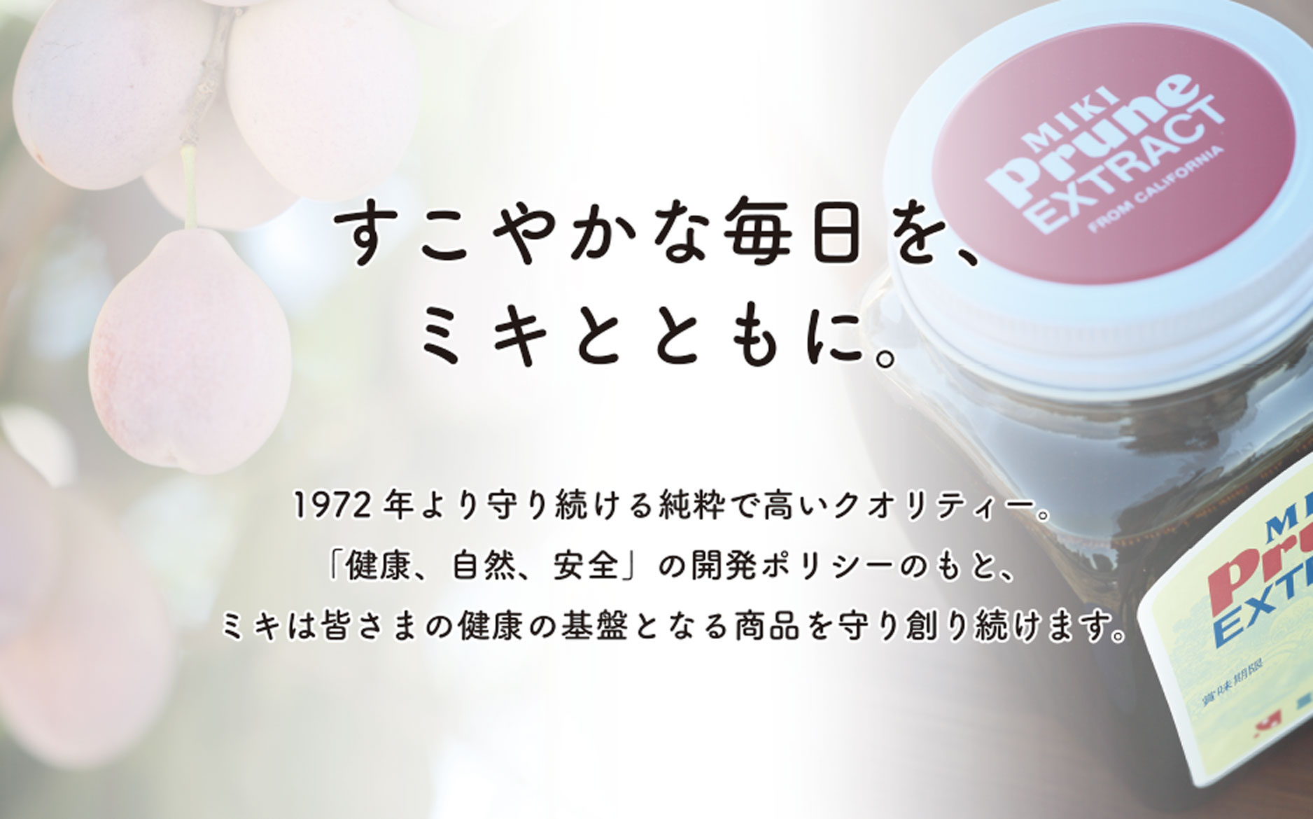 2040円 【35％OFF】 ミキプルーン