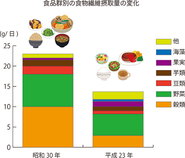 1906G6_食品群別