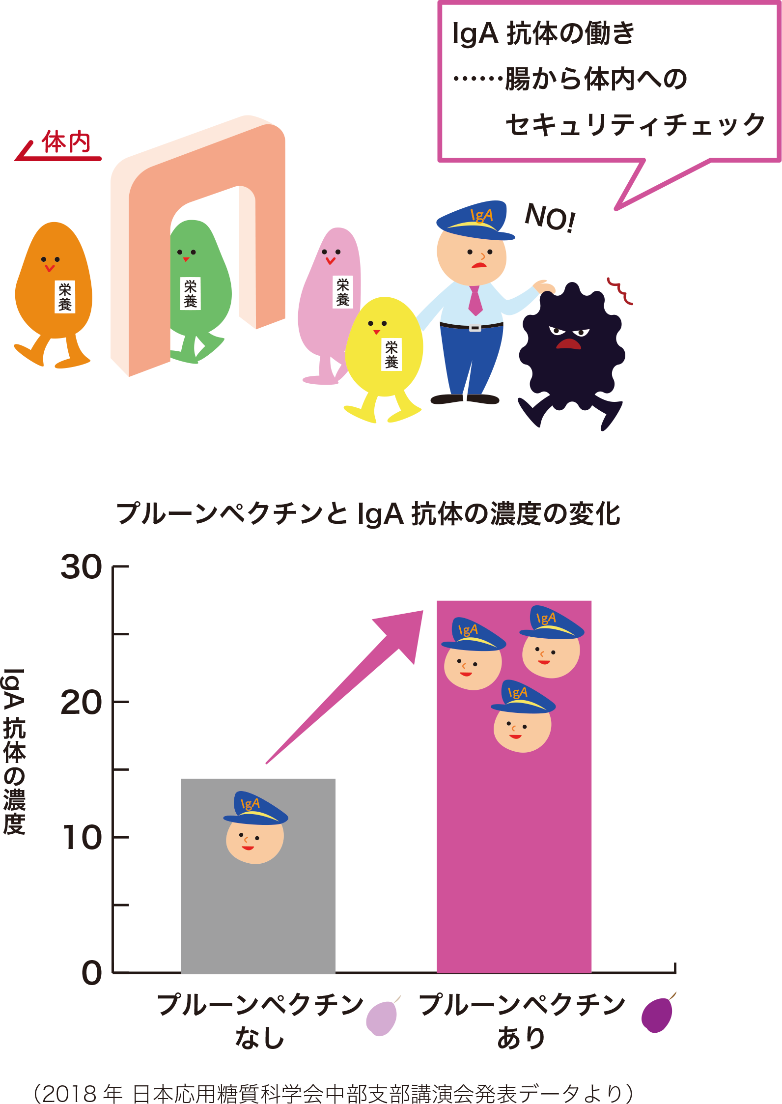 プルーンと健康 - ミキプルーン