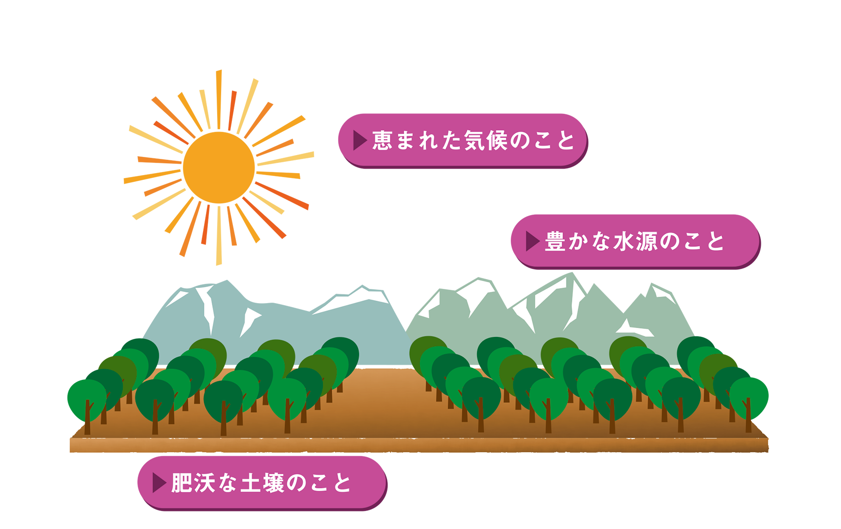 ミキプルーン農園のこと 公式 ミキプルーン