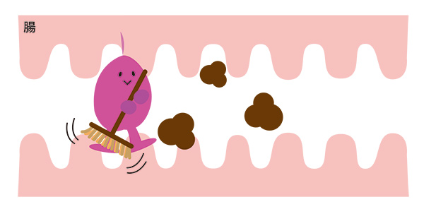 プルーンで健康 公式 ミキプルーン