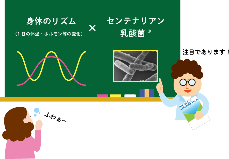 センテナリアン乳酸菌と身体のリズム