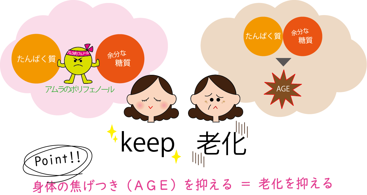 アムラの話 ミキプルーン