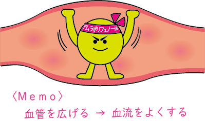 アムラの話 ミキプルーン