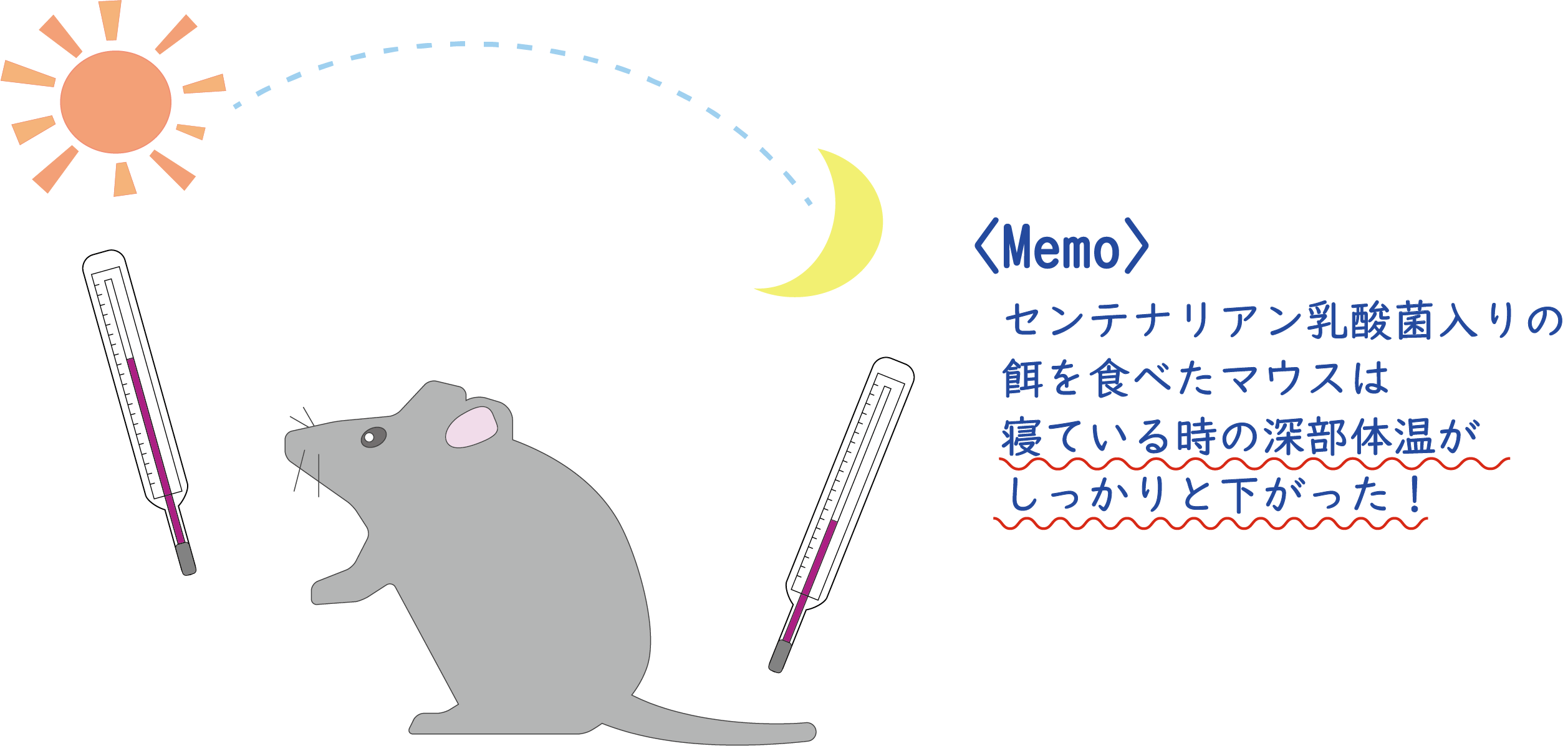 センテナリアン乳酸菌 の話 ミキプルーン
