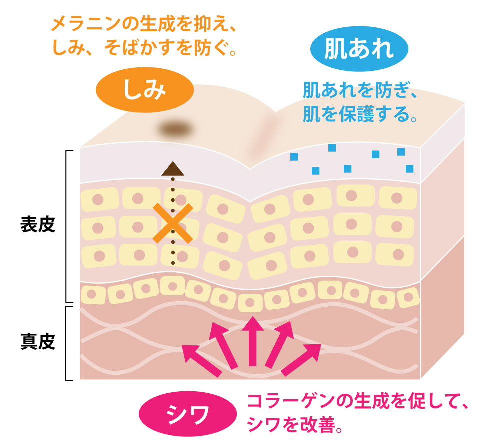 保湿、シワ改善、しみ予防※1ができる全身保湿料のご紹介です 