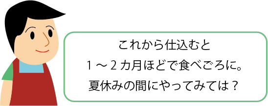 ミキの手づくりお味噌セットは夏休みにもおすすめ