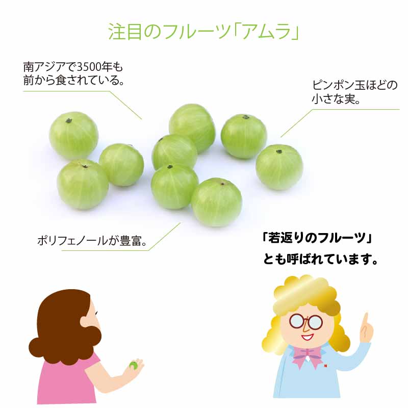 若々しくいたいあなたへ。アムラのチカラ