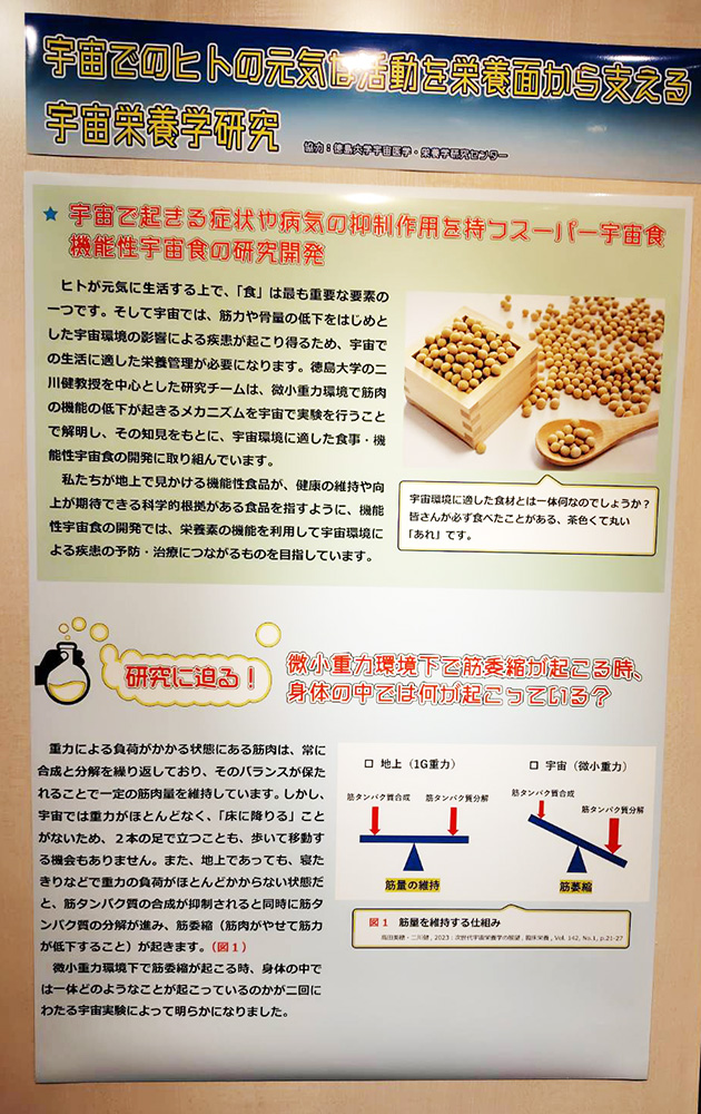 愛媛県総合科学博物館_宇宙実験_大豆