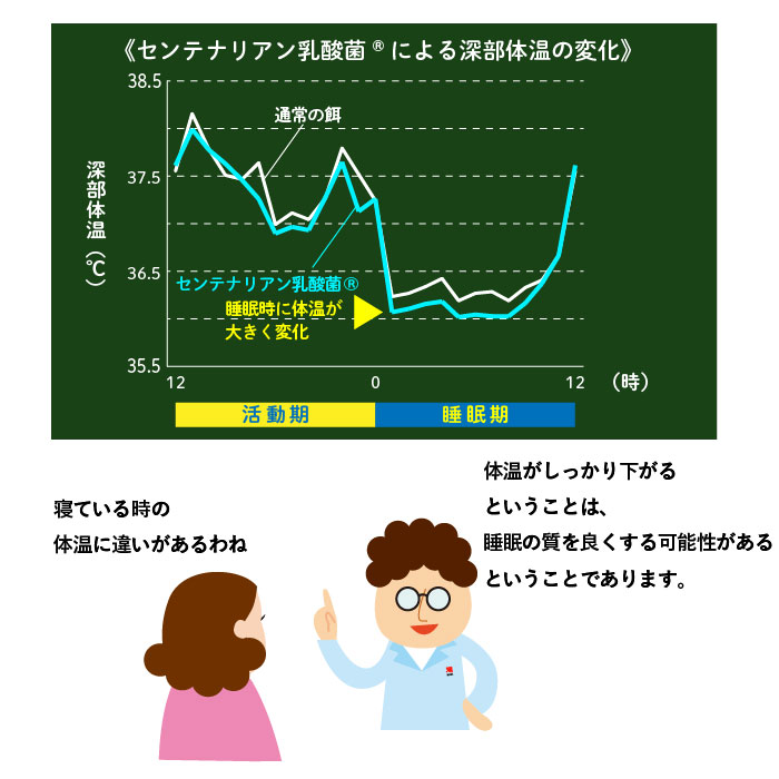 センテナリアン乳酸菌を食べたマウスの体温変化