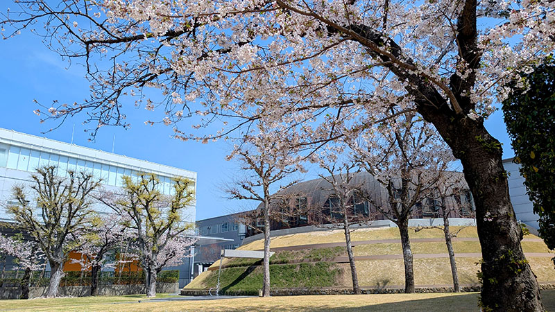 西宮工場のドームと桜