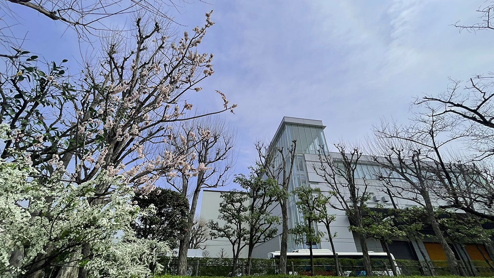 西宮工場の花々