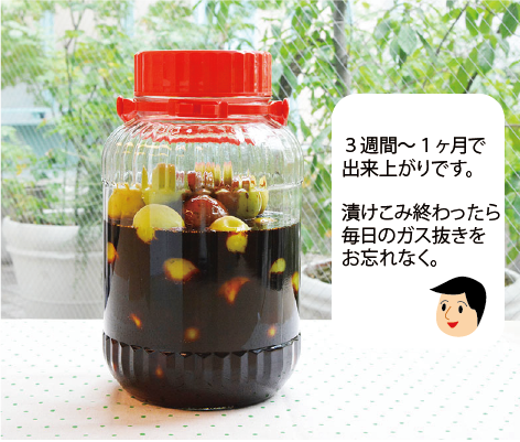 漬け込み終わった梅プルーン