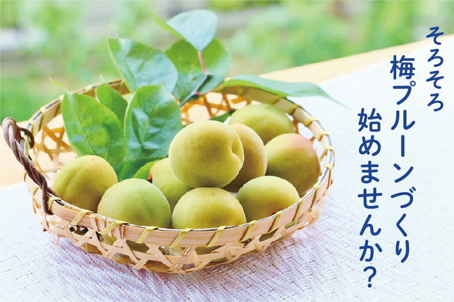 楽しい・美味しい・便利な「梅プルーン」