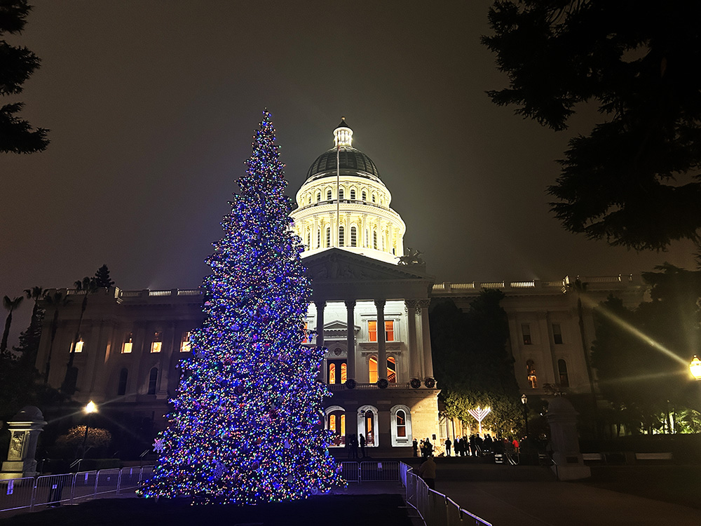 サクラメント州議会議事堂のクリスマスツリー