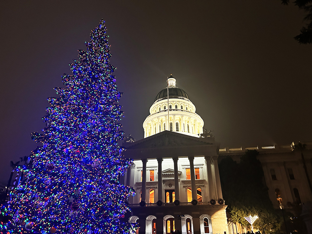 サクラメント州議会議事堂のクリスマスツリーその２