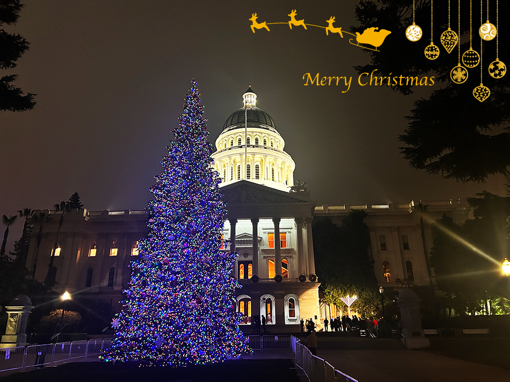 サクラメントからクリスマスのご挨拶です＊☆