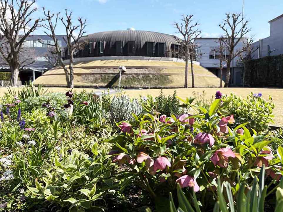 美しい⟡ . ݁₊ ⊹ 西宮工場からのお便りです