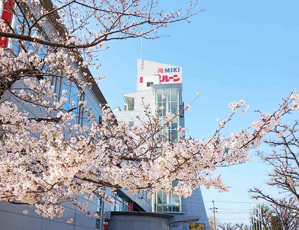 ミキプルーン西宮工場と桜