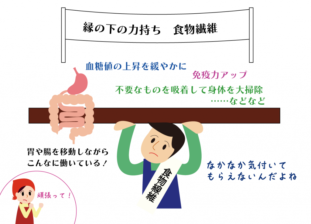 縁の下の力持ち食物繊維