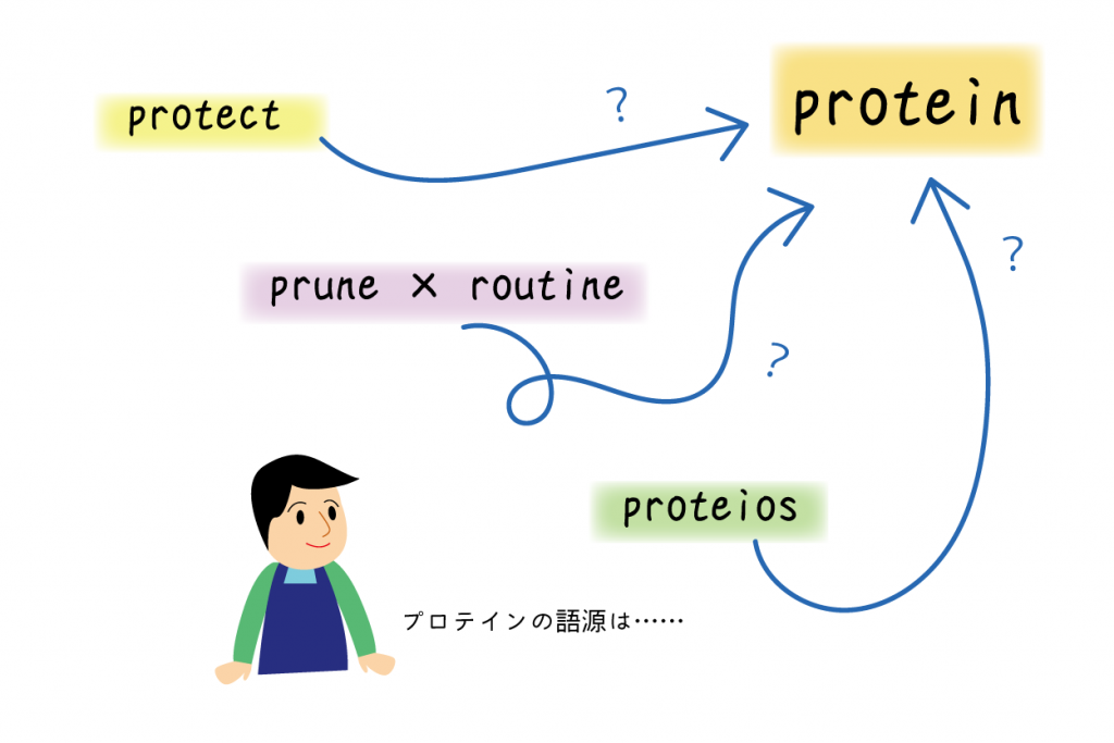 プロテインの語源とは